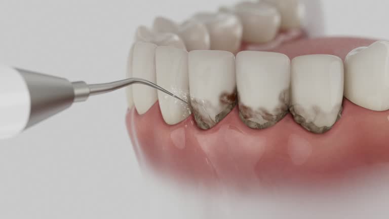 Reliable Dental contractor in Walnut, IL by Dentist Open Now